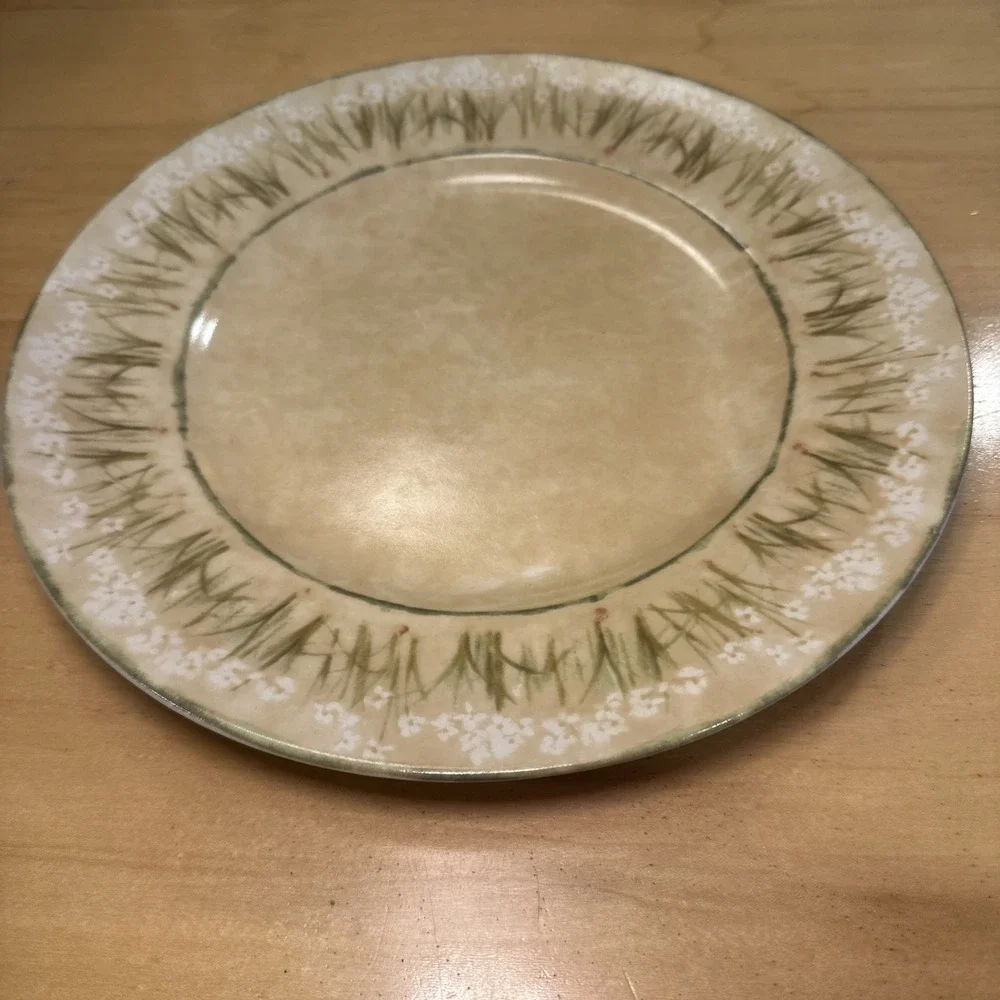 Cheri Blum for 222 Fifth (4) Narcissus Dinner Plates Stoneware‎  10.5